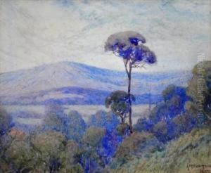 View To The Valley by Alexander Mcclintock
