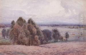 Looking To The Fields by Alexander Mcclintock