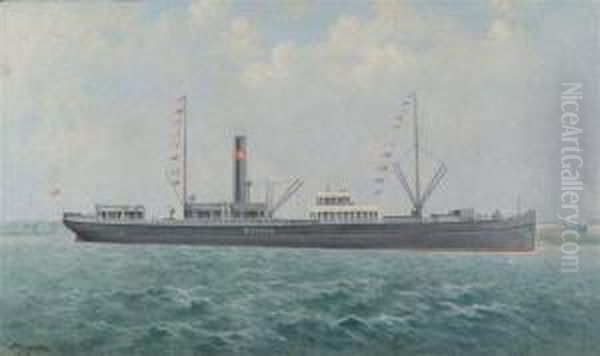 Study Of The Steamship Botnia - view 1