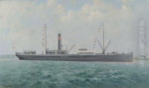Study Of The Steamship Botnia