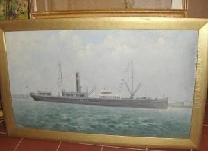 The S.s. Botnia by George Mcconnell