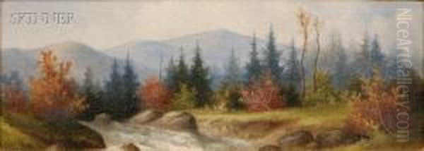 White Mountain Landscape - view 1
