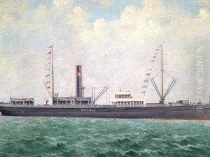 The Steam And Sail Ship 'botnia'