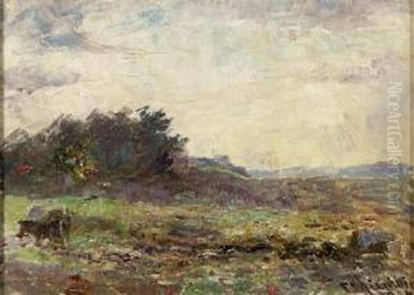 Evening With Horses, Mt Macedon, Victoria - view 1