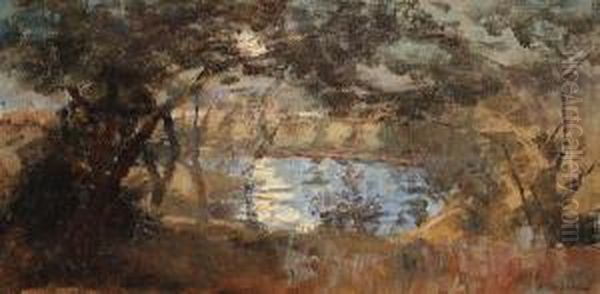 Silver Moonlight - view 1