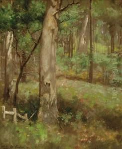 Spring Morning by Louis Mccubbin