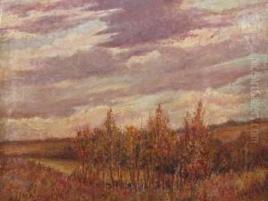 Forest Glade by Mcdade