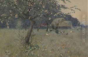The Orchard by John Mcdougal