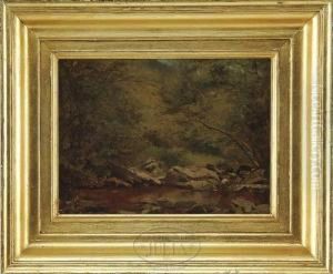 Mink Hollow Brook by Jervis McEntee