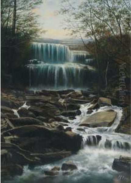 Falls At Waterdown - view 1