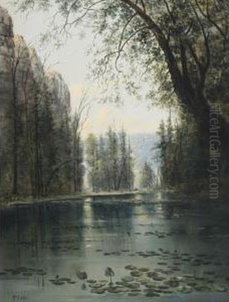 Lily Pond - view 1