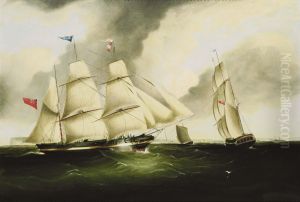 Ritratto Delbrigantino Charles by Duncan Mcfarlane