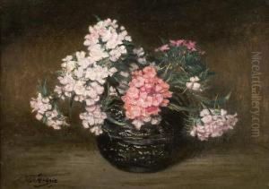 Sweet Williams by John Mcghie