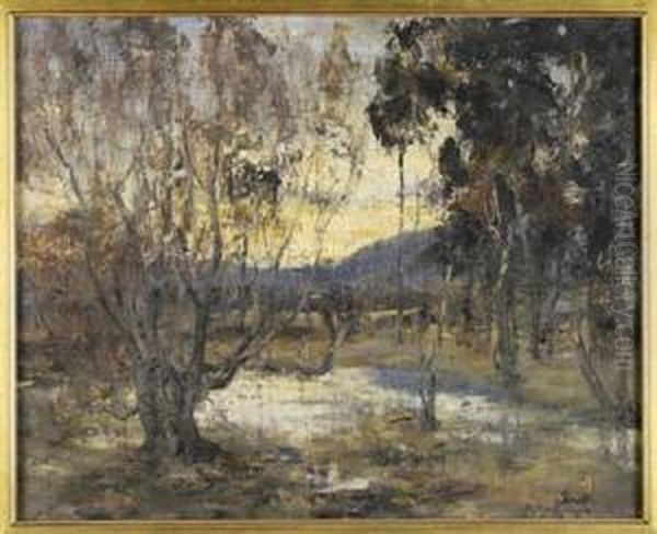 A Woodland Pool At Sunset - view 1