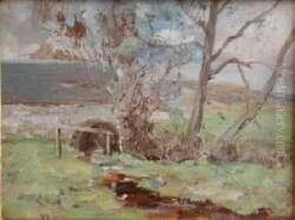 The Mill Stream - view 1