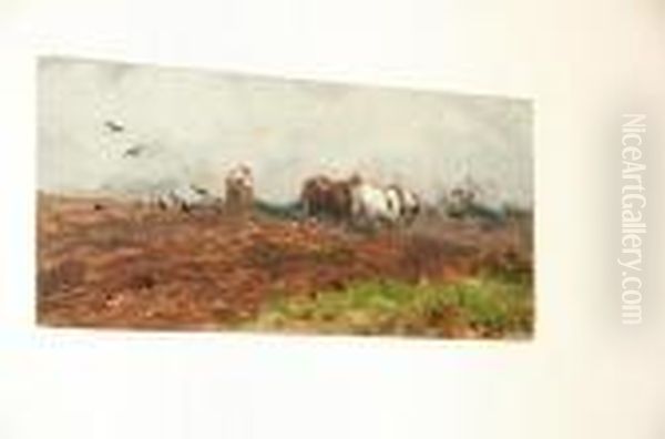 Ploughing - view 1