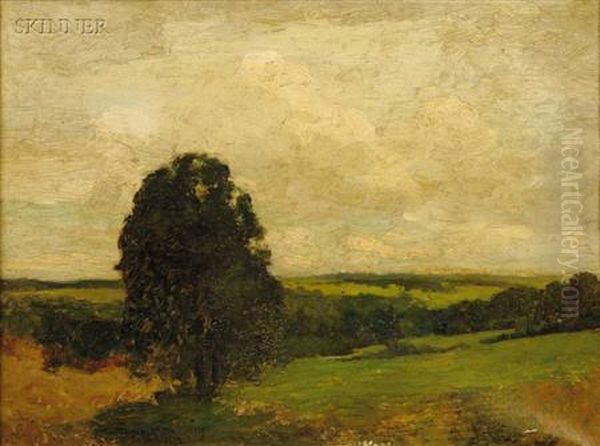 A Summer Sky - view 1