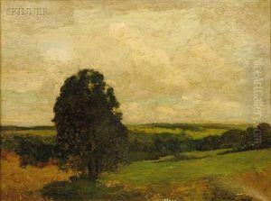 A Summer Sky by Charles Morgan Mcilhenney