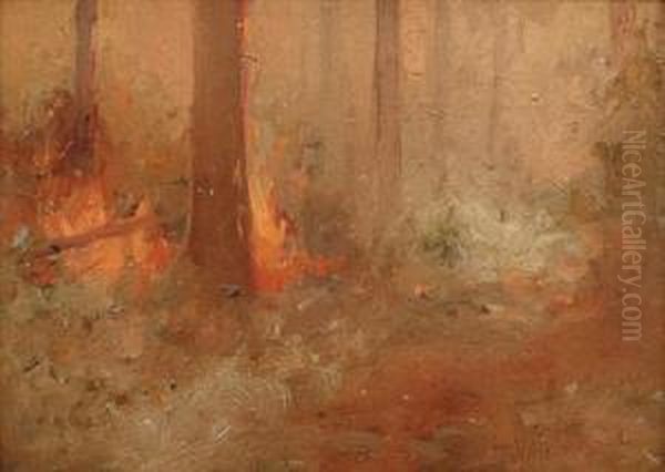 Burning Landscape - view 1
