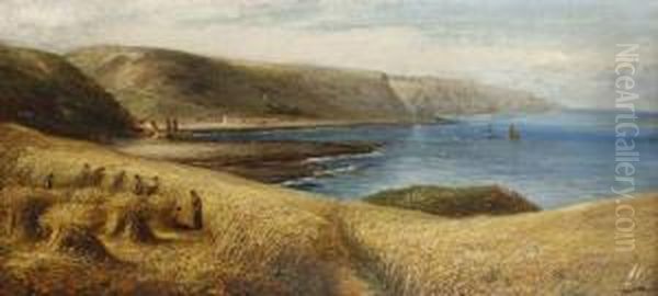 Cornfields On The Berwick Coast - view 1