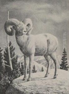 Bighorn Ram by Charles C. Mckim