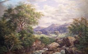 Mountain Stream