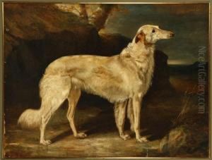Borzoi Portrait