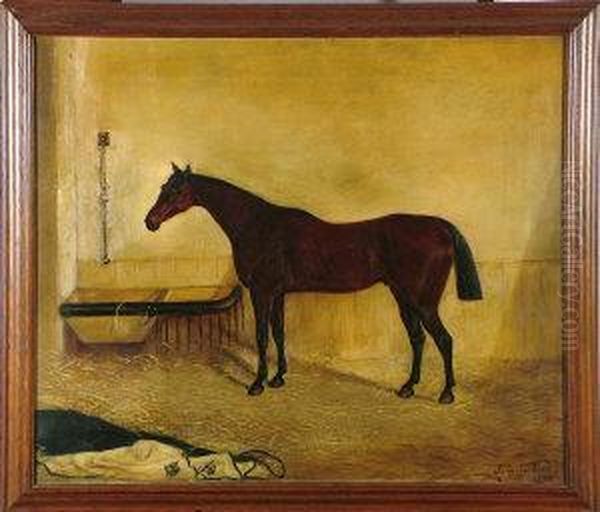 A Portrait Of A Bay Hunter In A Stable - view 1