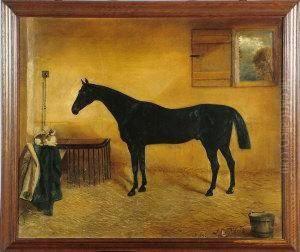 A Portrait Of A Black Horse In A Stable With A Cat Nearby