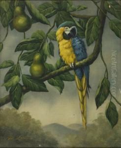 A Blue Parrot. Signed Lower Left M. Larkin by Larkin Goldsmith Mead