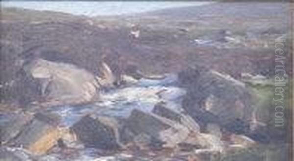A Mountain Stream - view 1