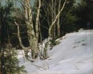''the White Birches-a Winter Study''