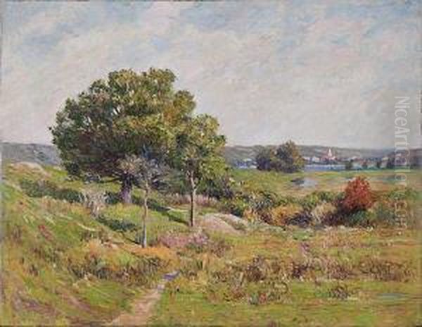Maine Landscape - view 1