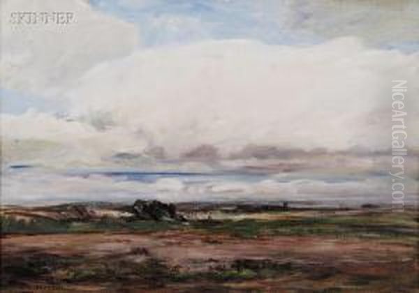 Arizona Landscape - view 1