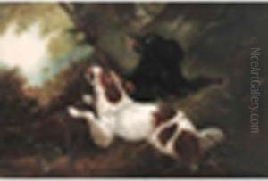 Spaniels Flushing Pheasant In A Wood by John Mearns