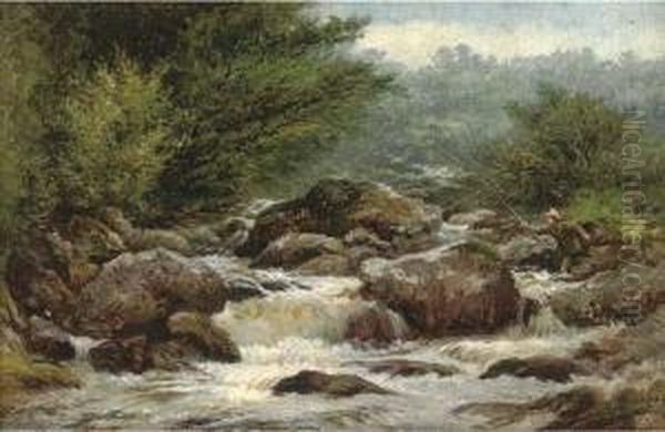 An Angler On The Rocks Of Dulyn - view 1