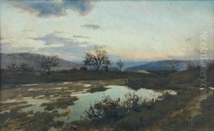 Coucher De Soleil Sur Les Marais by Adolf von Meckel
