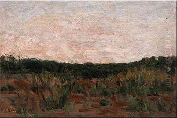Paisaje - view 1