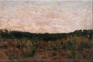 Paisaje by Manuel Medina Diaz