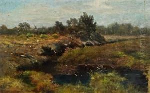 Busche Im Moor by Emilie Mediz-Pelikan