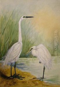 Herons On A Riverbank