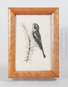 Two Bird Subjects And An Over Painted Print In Burr Maple Frames