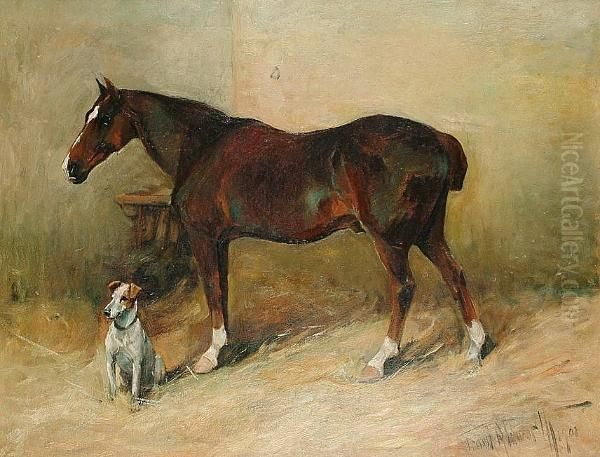 Stable Companions - view 1