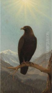 Golden Eagle by Joseph Rusling Meeker