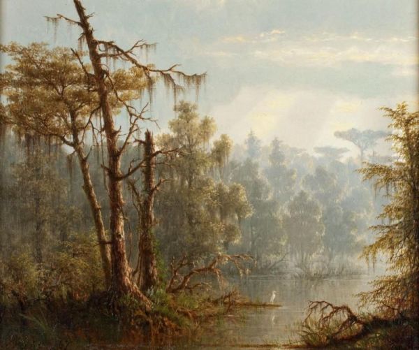 Louisiana Bayou - view 1