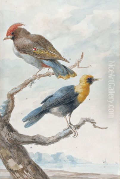 Two Exotic Birds Perched On A Tree, A Coastal Landscape Behind - view 1