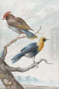 Two Exotic Birds Perched On A Tree, A Coastal Landscape Behind thumbnail
