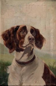 Jagdhund In Landschaft