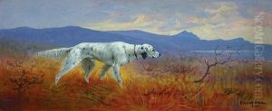 Engelsk Setter I Stand 1918 1918