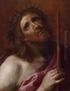 Testa Di Cristo